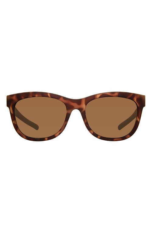 Eddie Bauer 54mm Round Polarized Sunglasses In Tortoise/brown
