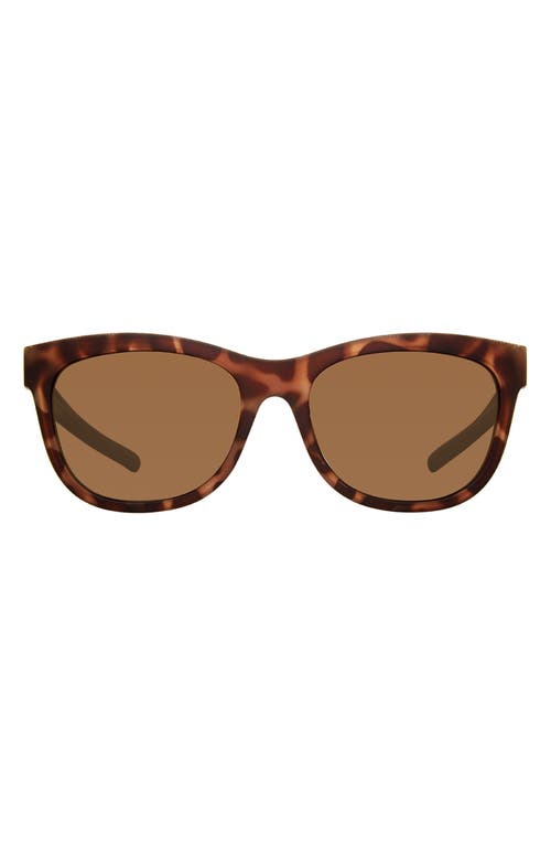 Shop Eddie Bauer 54mm Round Polarized Sunglasses In Tortoise/brown