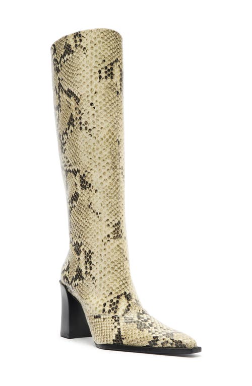 SCHUTZ SCHUTZ RAFFAELA UP BLOCK POINTED TOE KNEE HIGH BOOT 