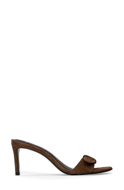 Shop Black Suede Studio Lenny 65 Buckle Sandal In Brown