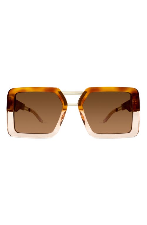 Coco and Breezy Amazonian 57mm Square Sunglasses in Brown Cognac/Brown