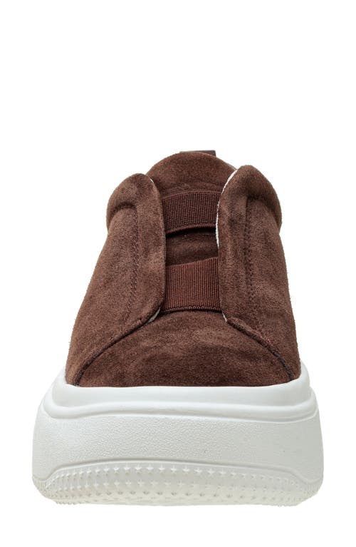 Linea Paolo Golde Platform Sneaker In Chocolate Brown/brown