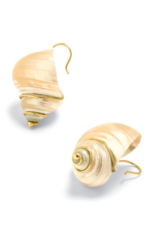 Genuine Shell Statement Drop Earrings in Vintage Gold