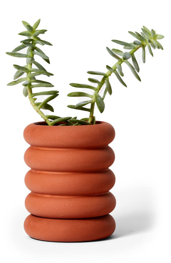 Shop Areaware Mini Tall Stacking Planter In Terracotta