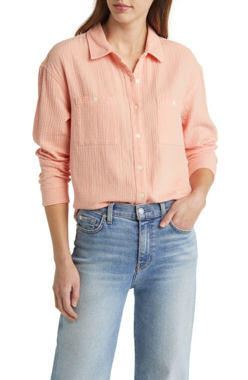 caslon(r) Long Sleeve Cotton Button-Up Shirt in Coral Tide