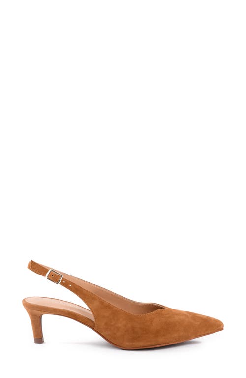 Shop Seychelles Candlelight Slingback Pointed Toe Kitten Heel Pump In Tan