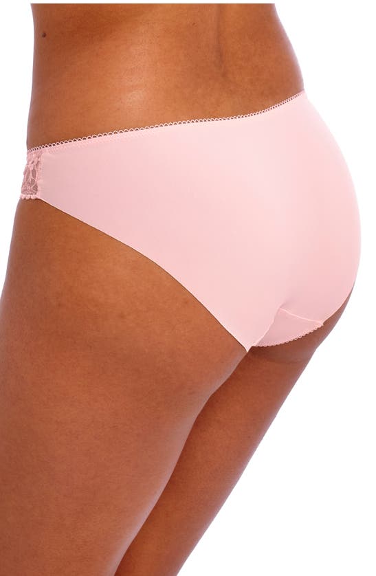 Shop Freya Hallie Bikini Briefs In Pink Champagne