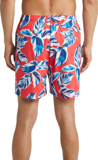 Men's Tommy Bahama Black Indianapolis Colts Naples Layered Leaves Swim  Trunks