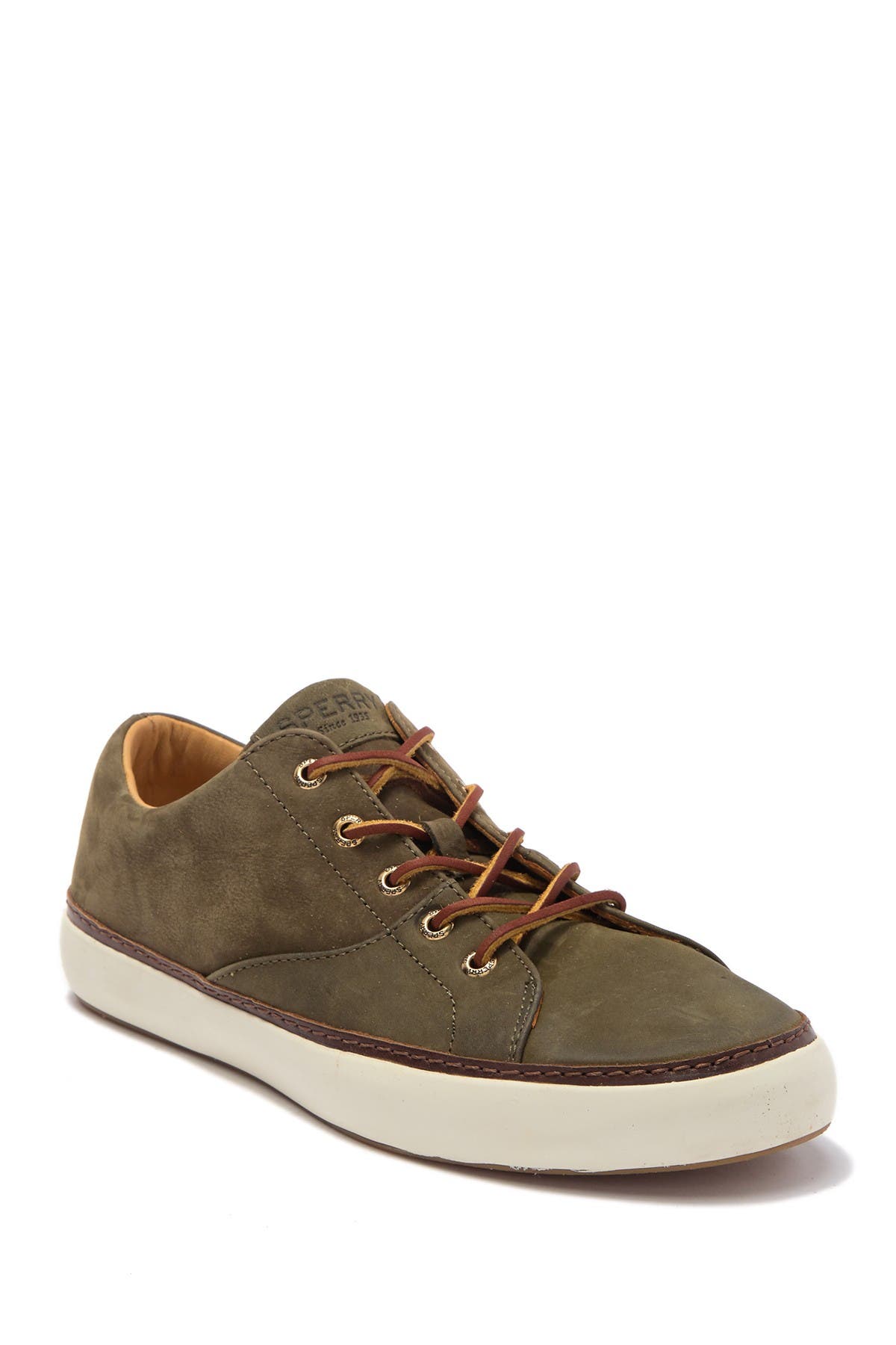 sperry gold cup haven