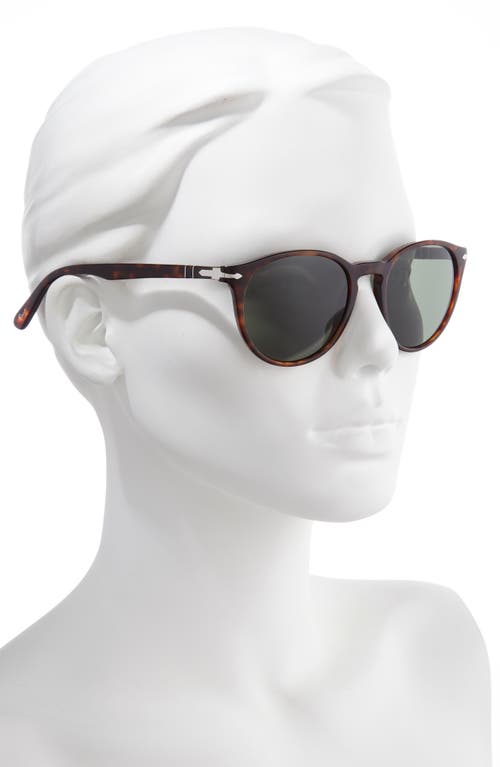 Persol 52mm Round Sunglasses In Brown/green