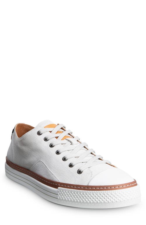 Allen Edmonds Pasadena Sneaker Off White at Nordstrom,