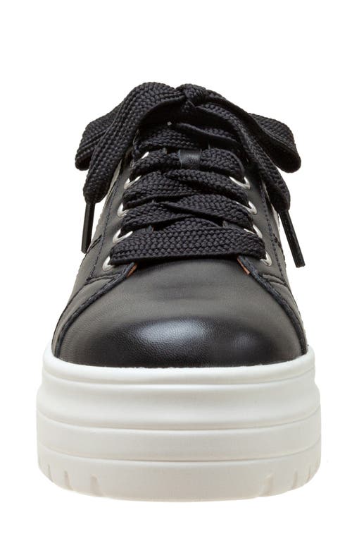 Shop Linea Paolo Jill Platform Sneaker In Black/cognac-black