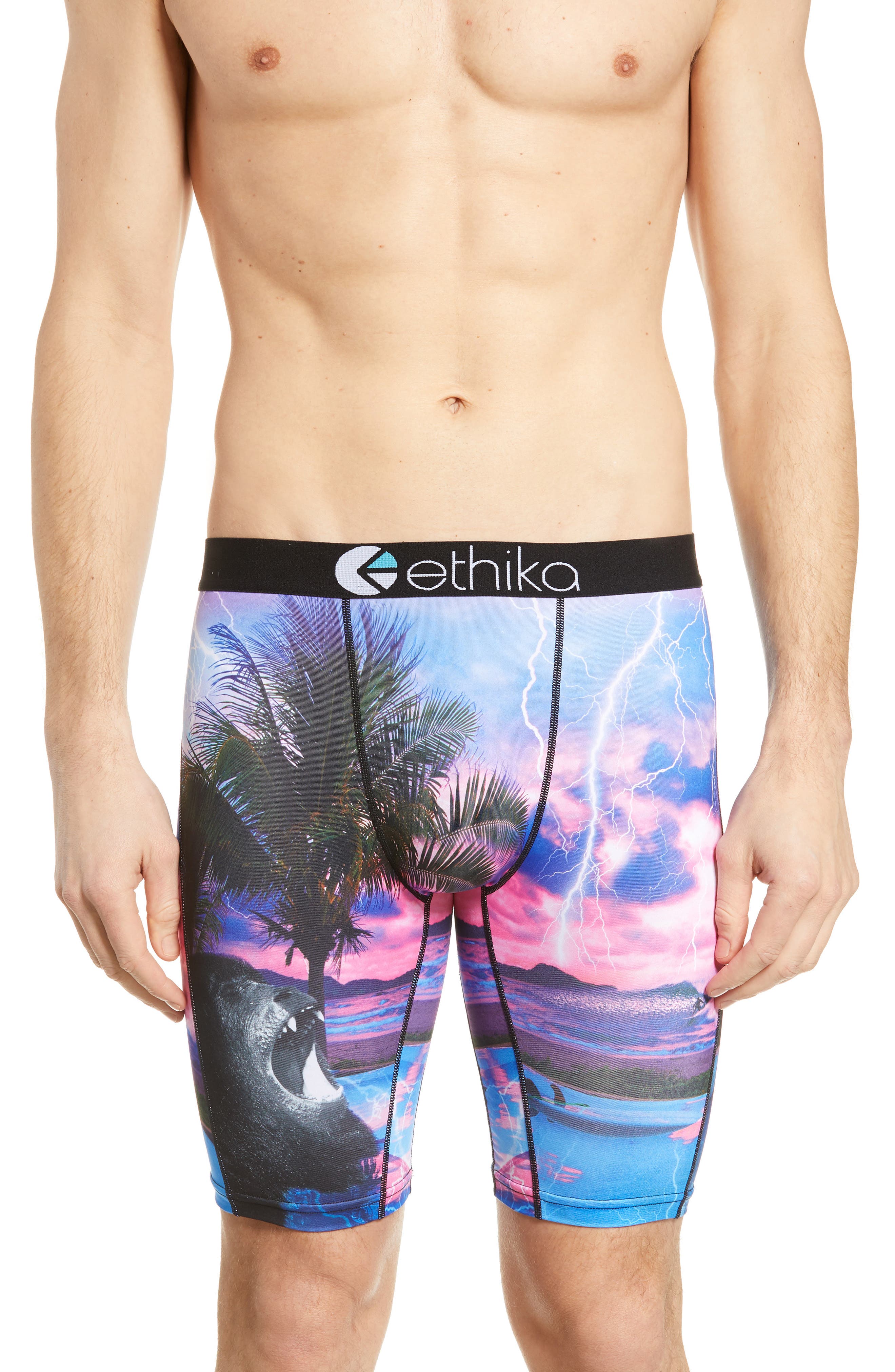 Ethika Down Daze Stretch Boxer Briefs Nordstrom