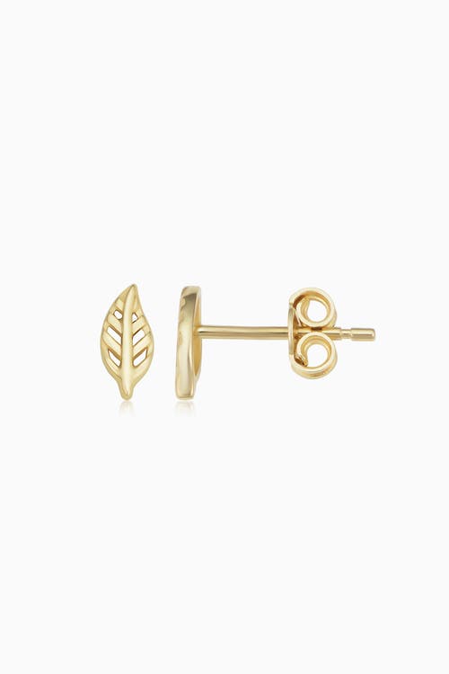 Oradina 14k Yellow Gold Leaf Your Mark Studs In Yellow Gold