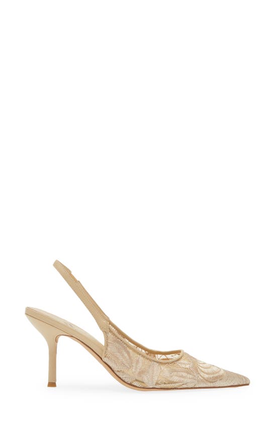 Shop Jeffrey Campbell Lofficele Embroidered Mesh Slingback Pointed Toe Pump In Natural Lace