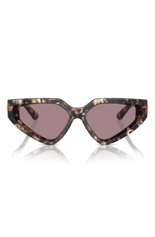 Shop Dolce & Gabbana Dolce&gabbana 59mm Butterfly Sunglasses In Brown Havana