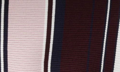 Ellen Tracy Stripe Ribbed Sweater In Wine Multi Stripe