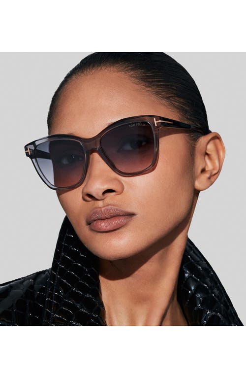 Shop Tom Ford Lucia 54mm Gradient Square Sunglasses In Shiny Grey Black/smoke