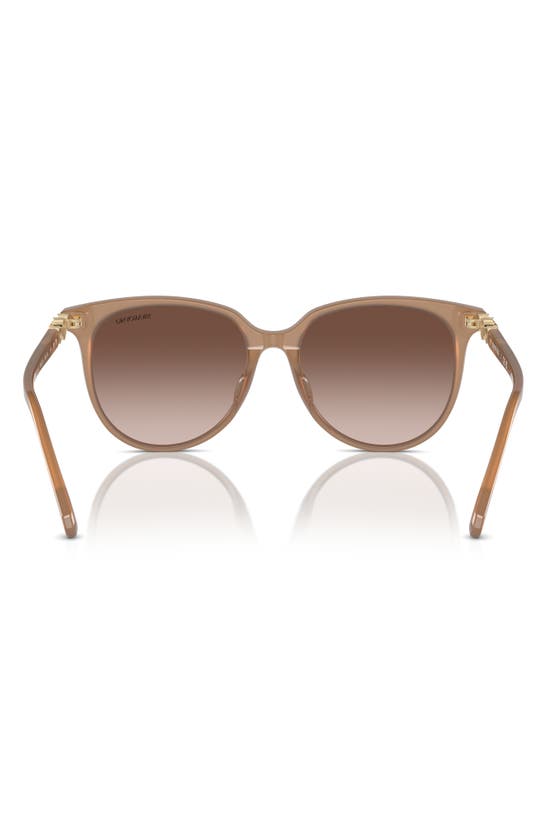 Swarovski 56mm Gradient Round Sunglasses In Opal Beige