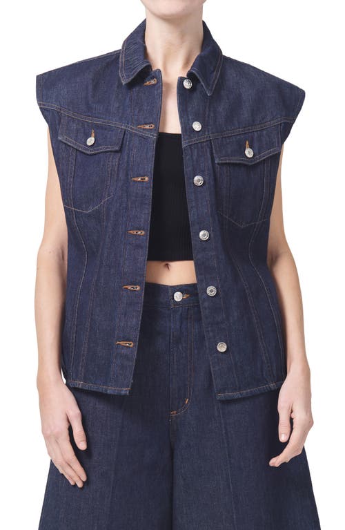 AGOLDE Evan Oversize Sleeveless Organic Cotton Denim Button-Up Shirt Pure at Nordstrom,