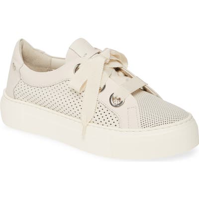 Agl Perforated Platform Sneaker - White