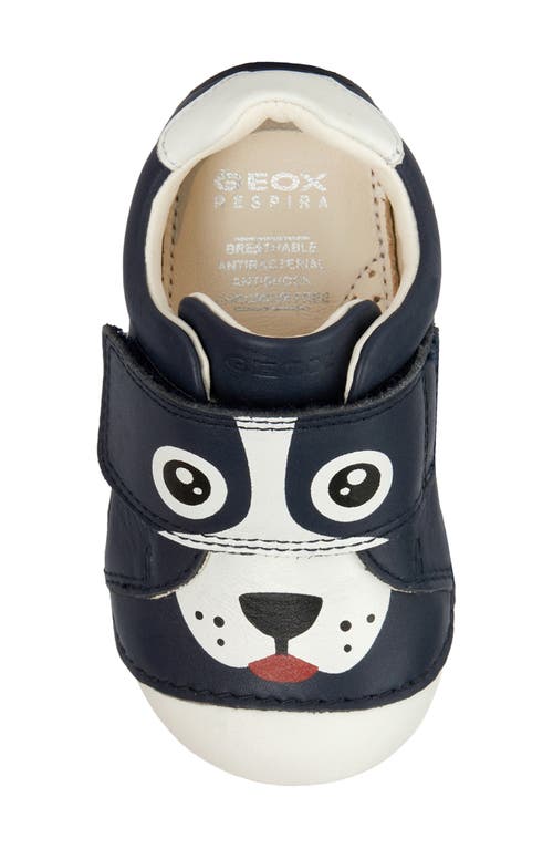 Shop Geox Tutim Sneaker In Navy/white