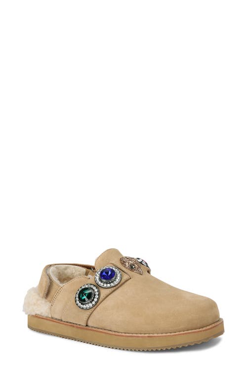 Kurt Geiger London Octavia Genuine Shearling Lined Clog Dark Beige at Nordstrom,