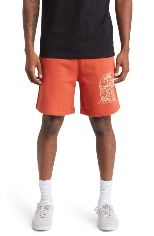 Farm Supply Cotton Graphic Sweat Shorts in Orange