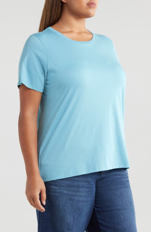 Shop Eileen Fisher Crewneck Organic Cotton T-shirt In Delfina