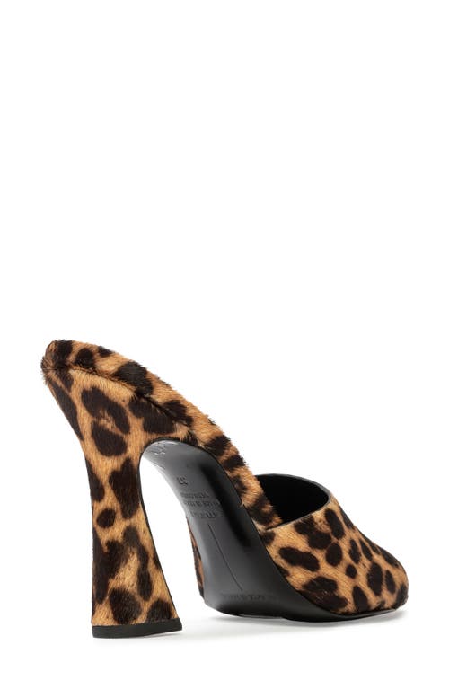 Shop Black Suede Studio Junie Sandal In Leopard Pony Hair