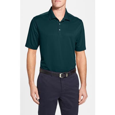 Big & Tall Cutter & Buck Glendale Drytec Moisture Wicking Polo - Green