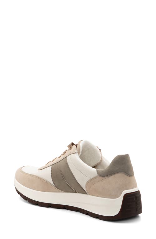 Ara Nerine Sneaker In Beige