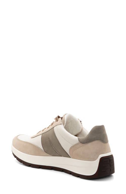 Shop Ara Nerine Sneaker In Beige