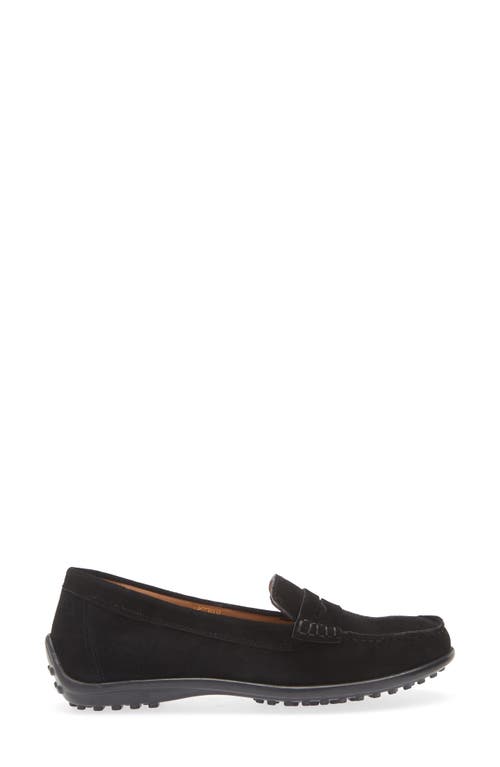 Shop The Flexx Winter Penny Loafer In Black