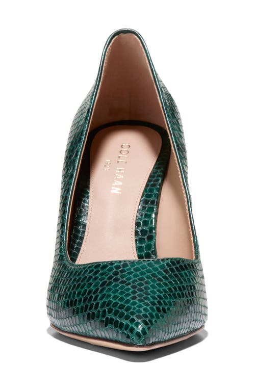 Shop Cole Haan Mckelya Pointed Toe Pump In Ponderose Croco