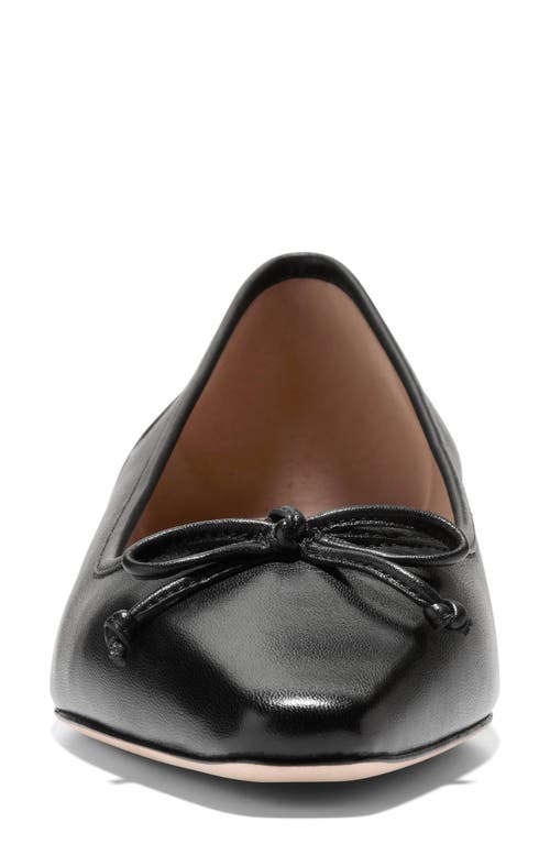 Shop Cole Haan Chlea Pointed Toe Ballet Flat In Black Leather