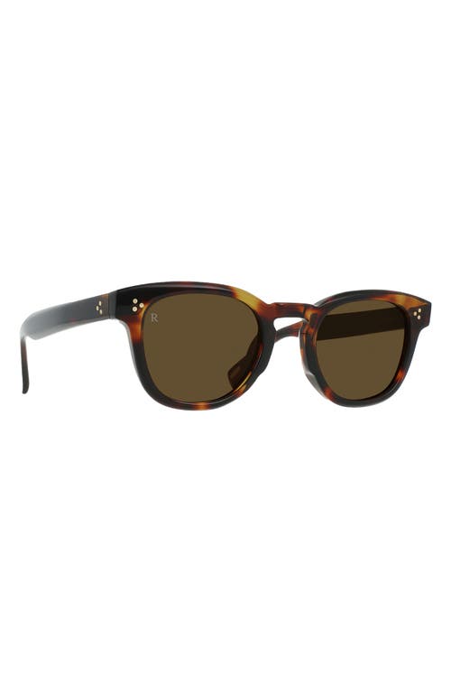Shop Raen Squire 49mm Round Sunglasses In Kola Tortoise/caramel