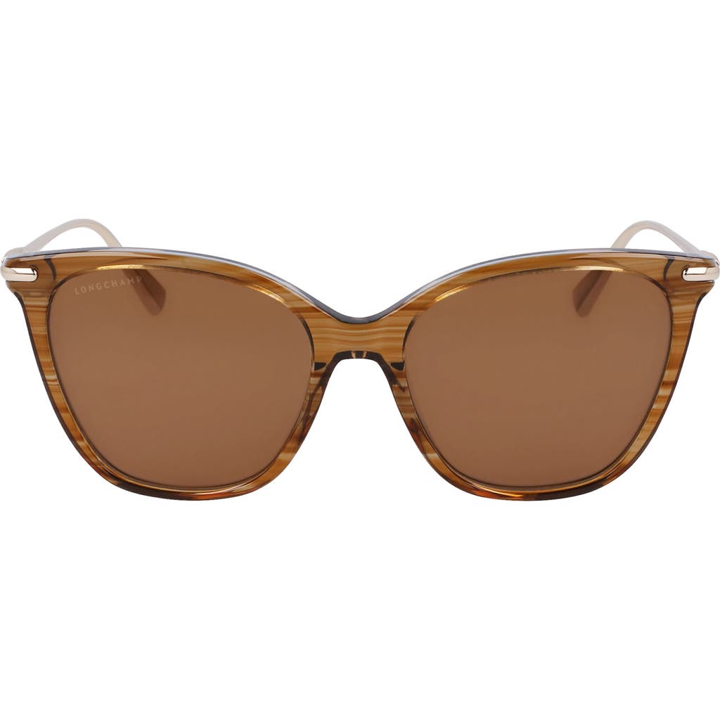 Longchamp Roseau 55mm Rectangular Sunglasses In Striped Brown