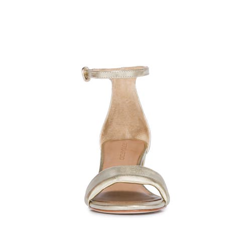 Shop Bernardo Footwear Bowie Ankle Strap Heeled Sandal In Champagne