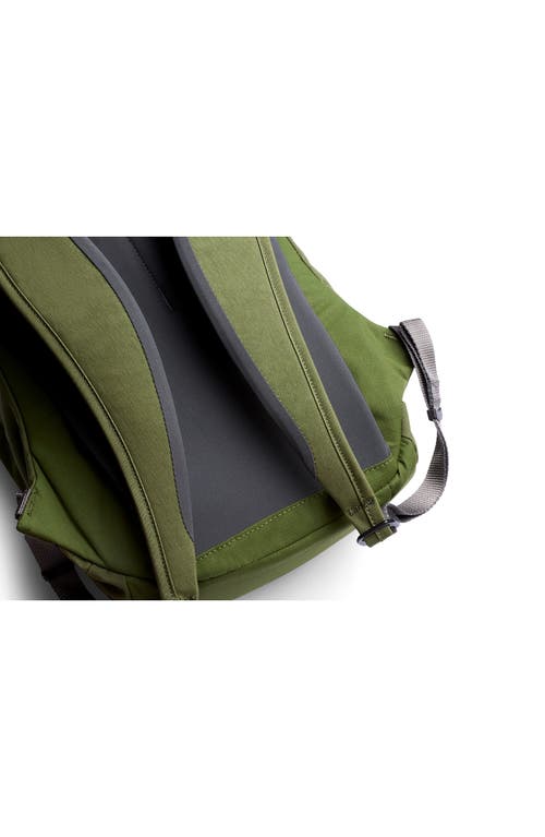 Shop Bellroy Classic Compact Backpack In Ranger Green