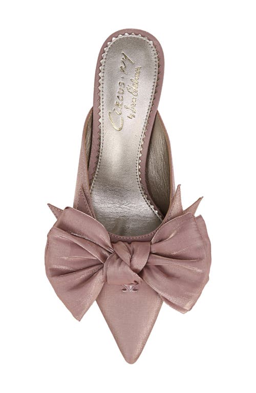 Shop Circus Ny By Sam Edelman Fiona Pointed Toe Mule In Blush French Macaroon