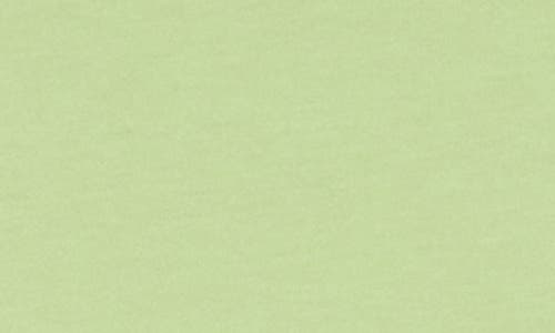 Abound Boxy Crop T-shirt In Green Salt