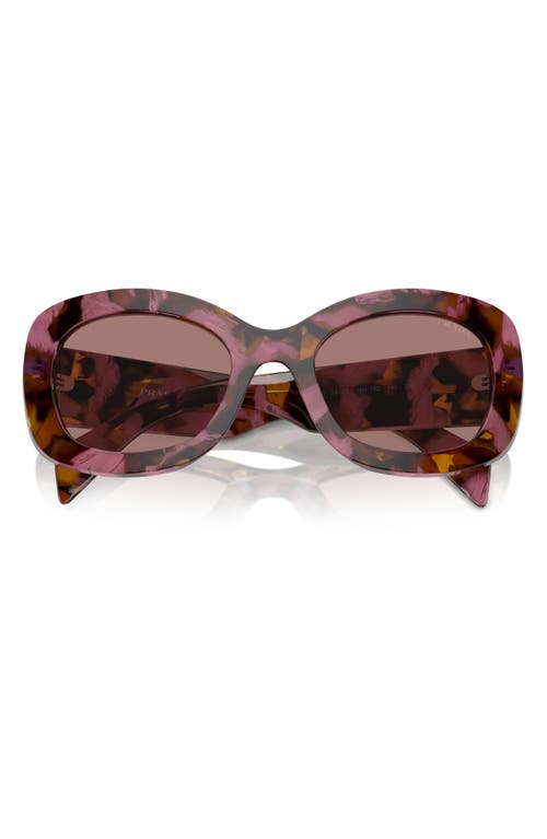 Prada 54mm Oval Polarized Sunglasses In Cognac Begonia/light Brown