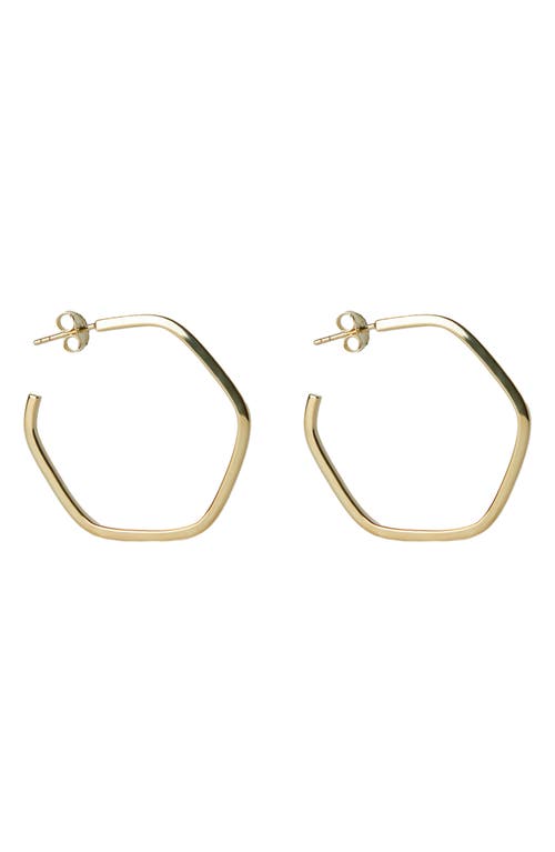 Hexagon Hoop Earrings in Gold