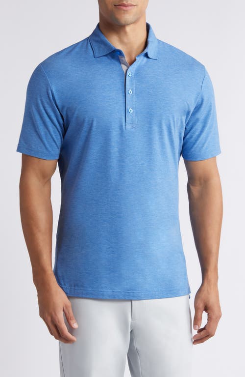 Linxter Cotton & Lyocell Blend Golf Polo in Victory