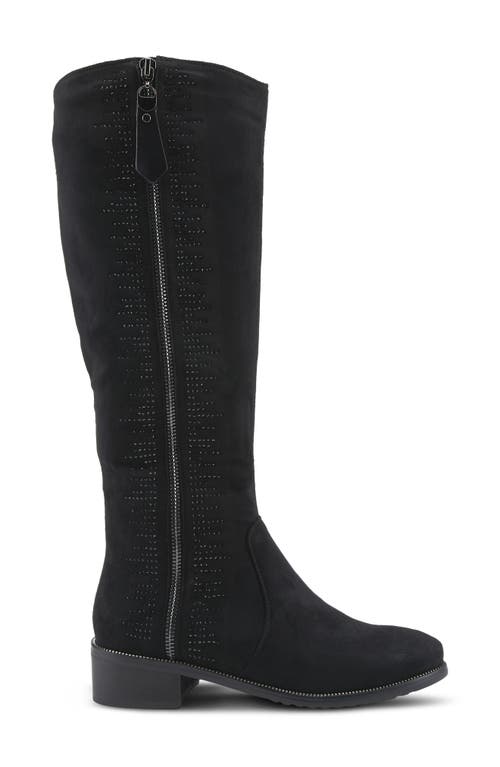 Shop Azura By Spring Step Blackenbury Knee High Boot