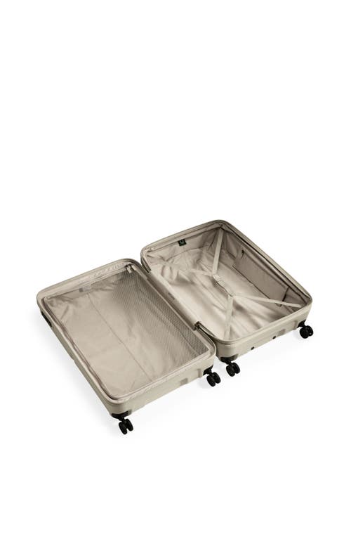 Antler Single Stripe Large In Taupe