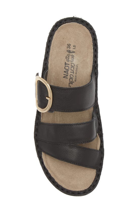 Shop Naot Frey Sandal In Soft Black Leather