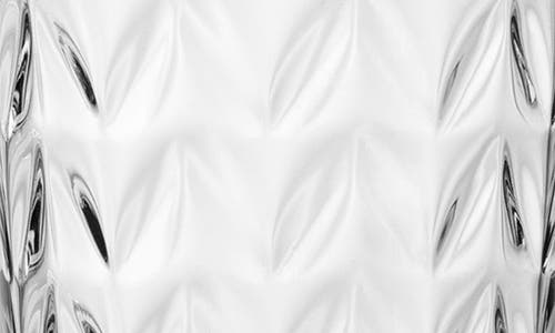 Shop Fortessa Ornamento Olivio Set Of 12 Tumbler Glasses In Clear