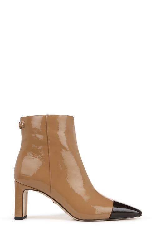 Shop Sam Edelman Saige Cap Toe Bootie In Camel Sand/rich Chocolate